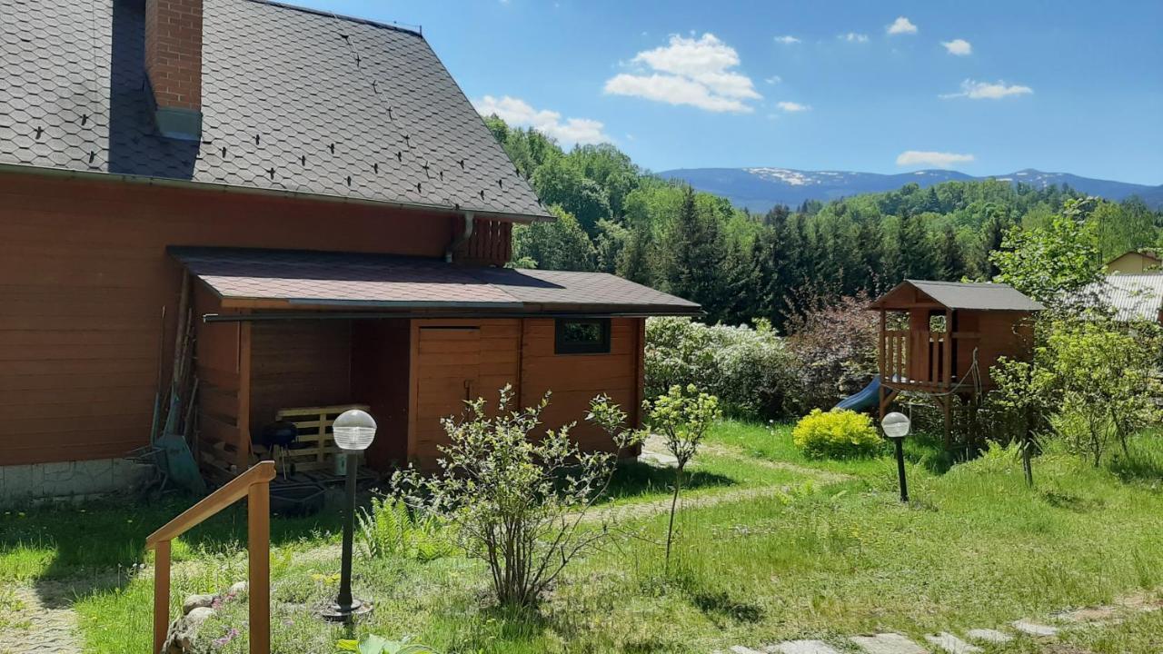 Chata Górska Sowa dla 12 osób, 4 sypialnie,salon z kominkiem Vila Podgórzyn Exterior foto