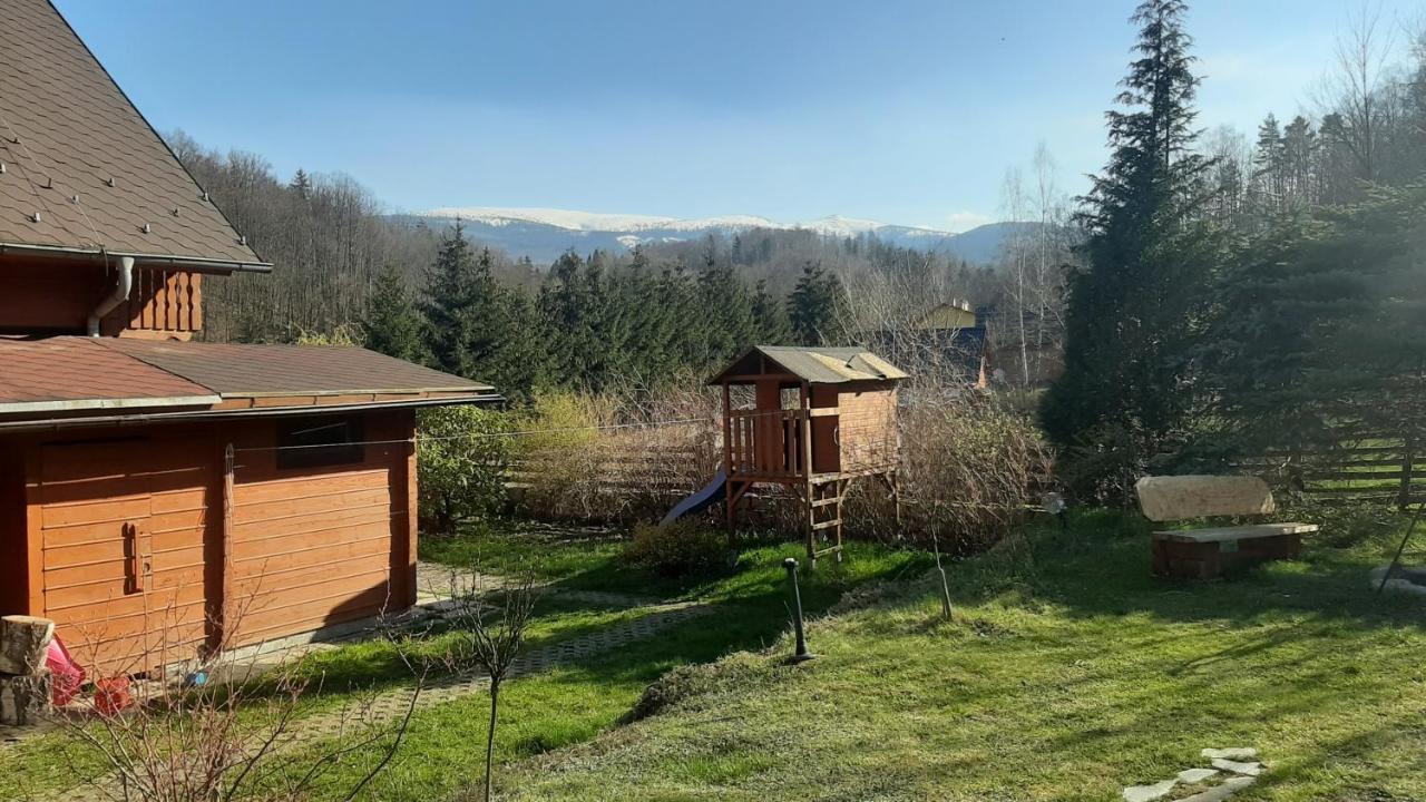 Chata Górska Sowa dla 12 osób, 4 sypialnie,salon z kominkiem Vila Podgórzyn Exterior foto
