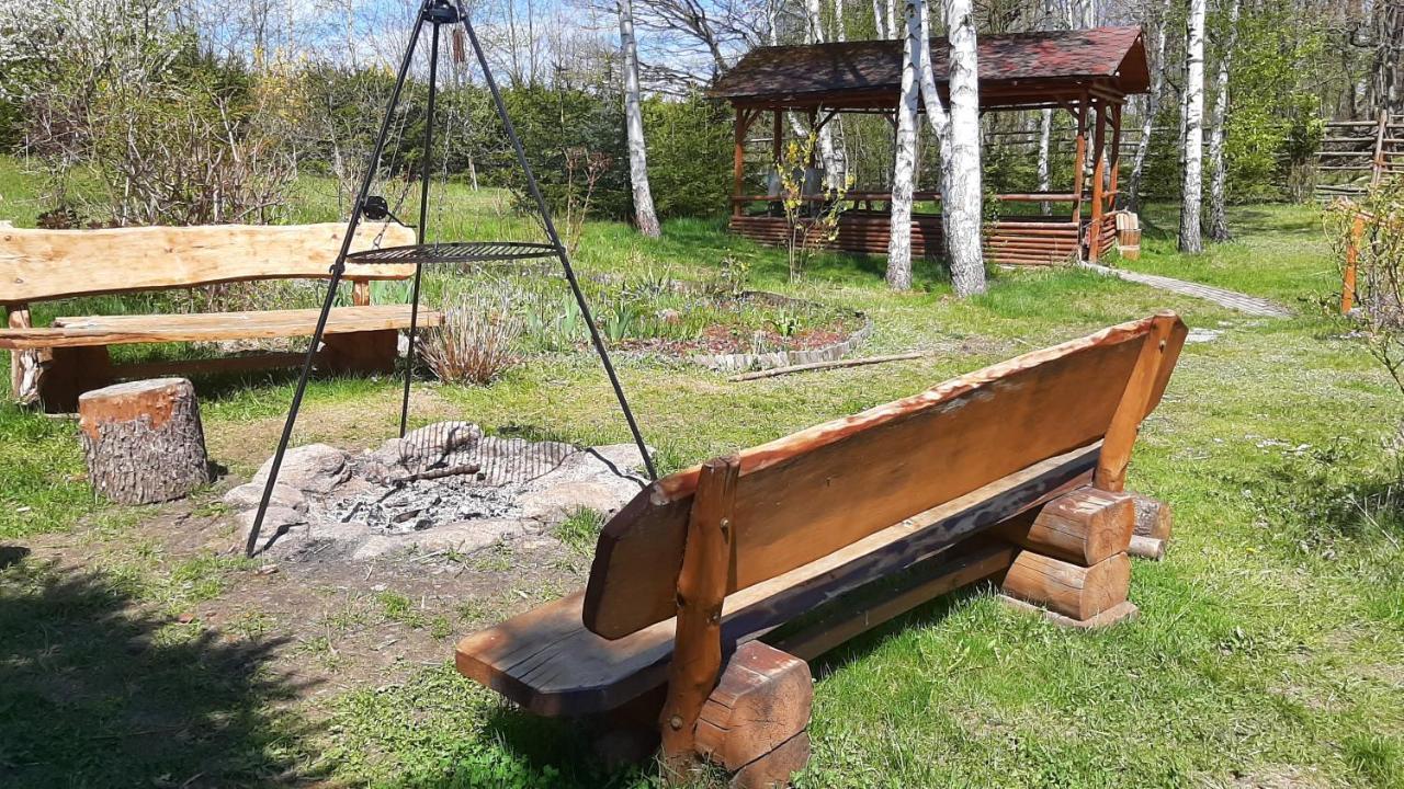 Chata Górska Sowa dla 12 osób, 4 sypialnie,salon z kominkiem Vila Podgórzyn Exterior foto