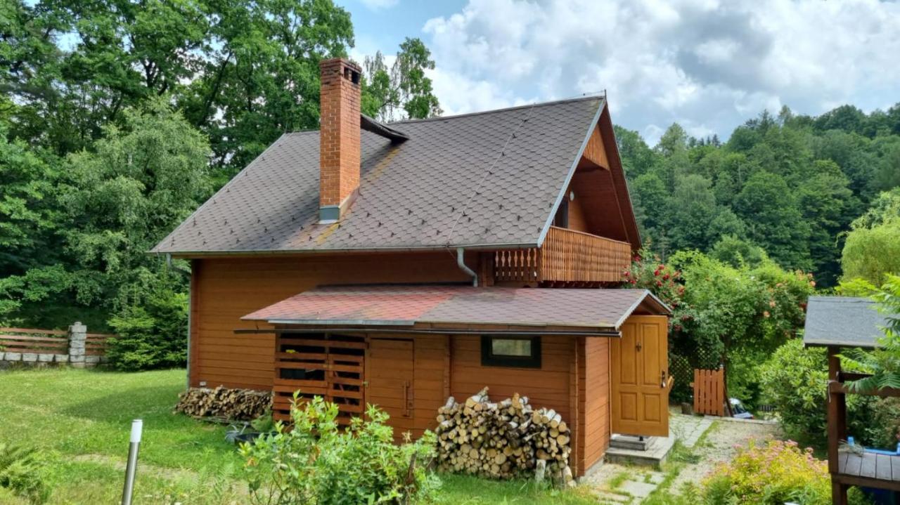 Chata Górska Sowa dla 12 osób, 4 sypialnie,salon z kominkiem Vila Podgórzyn Exterior foto